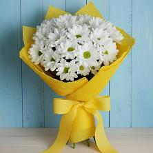Букет цветов из:  Хризантемы в Поселок Конезавода
