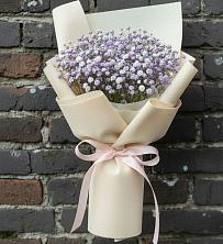 Букет цветов из:  Гипсофила в Поселок Конезавода
