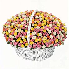 Премиум букет из: Розы в Поселок Конезавода