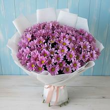 Букет цветов из:  Хризантемы в Поселок Конезавода
