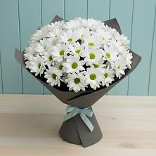 Букет цветов из:  Хризантемы в Поселок Конезавода