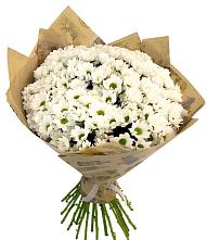 Букет цветов из:  Хризантемы #REPLACE_PRED# Поселок Конезавода