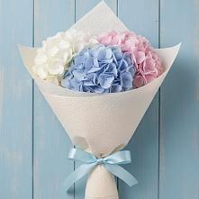 Букет цветов из:  Гортензия в Поселок Конезавода