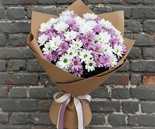 Букет цветов из:  Хризантемы #REPLACE_PRED# Поселок Конезавода