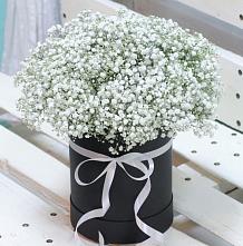 Цветочная композиция из Гипсофила в шляпной коробке #REPLACE_PRED# Поселок Конезавода