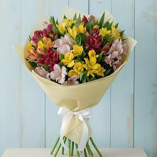 Букет цветов из:  Альстромерии в Поселок Конезавода