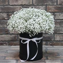 Цветочная композиция из Гипсофила в шляпной коробке в Поселок Конезавода