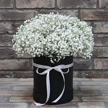 Цветочная композиция из Гипсофила в шляпной коробке в Поселок Конезавода