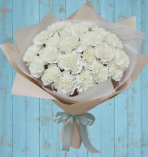 Букет цветов из:  Гвоздики в Поселок Конезавода