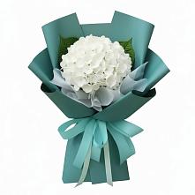 Букет цветов из:  Гортензия в Поселок Конезавода